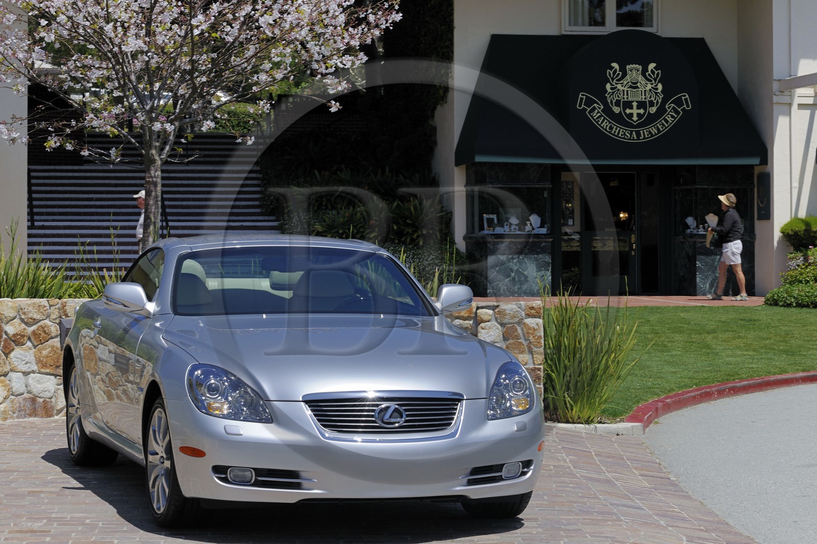 Etats-Unis, Californie, 17 mile drive, golf de Peeble Beach