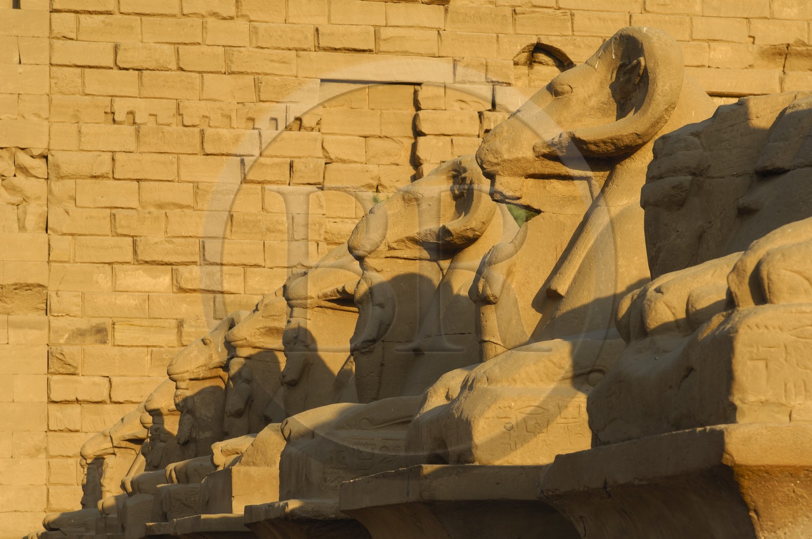 Egypt, Upper Egypt, Nile Valley, Luxor, Karnak Temple listed as World Heritage by UNESCO, avenue of the sphinx