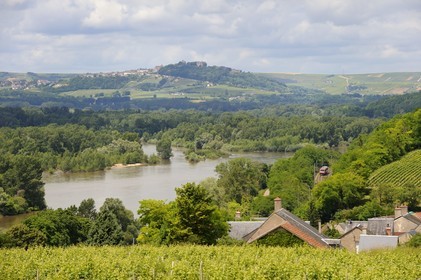 France, Nièvre (58), la Loire au village viticol des Loges vers Pouilly-sur-Loire, au fond le village de Sancerre