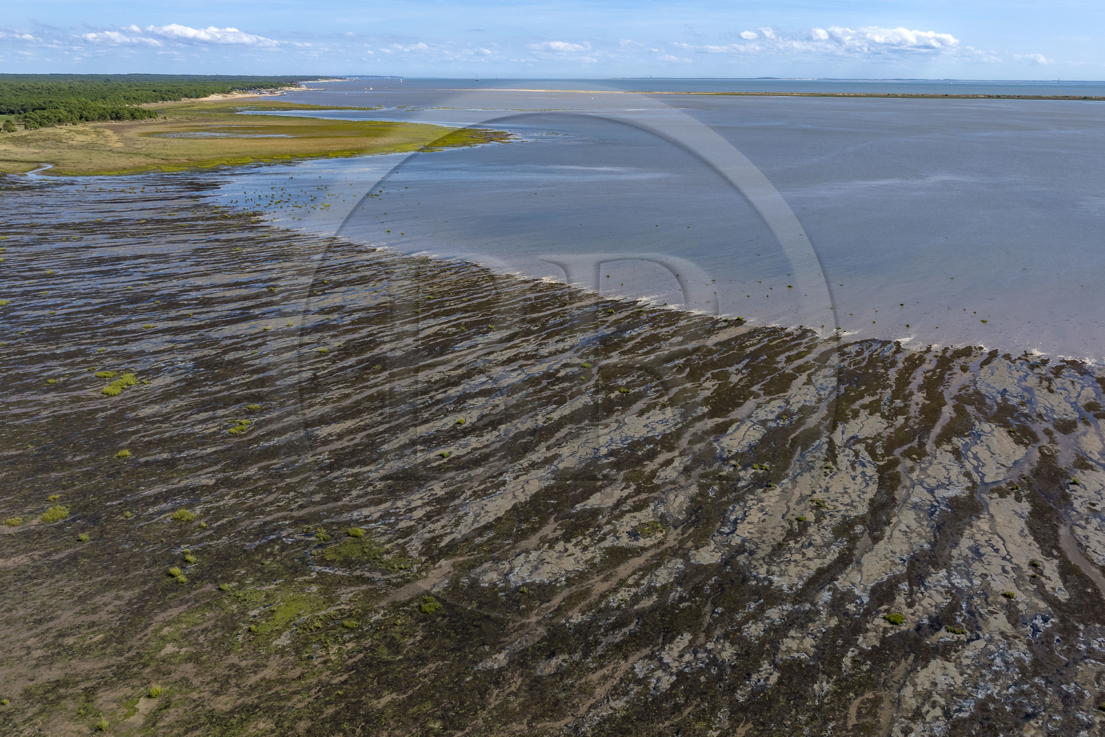 France, Charente-Maritime (17), Royan, Les Mathes, la baie de Bonne Anse à marée basse (vue aérienne)