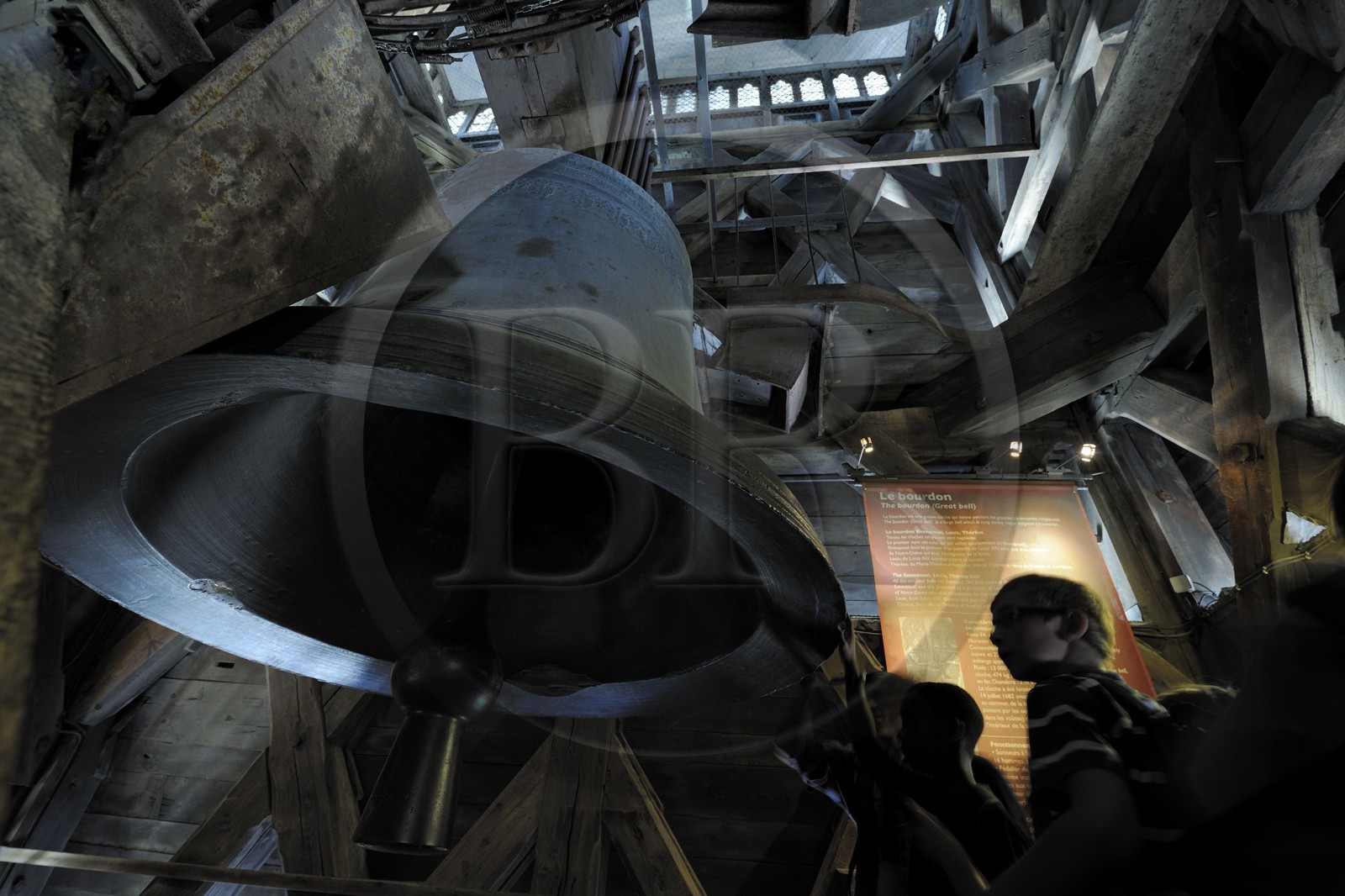 France, Paris (75), île de la Cité, la cathédrale Notre-Dame, le grand bourdon