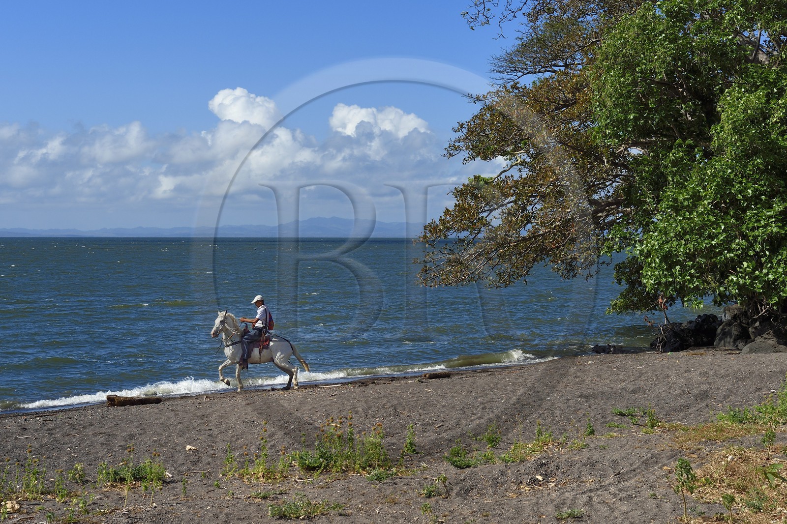 Nicaragua, Ile d'Ometepe sur le lac Nicaragua, cavalier en randonnée en bordure du lac