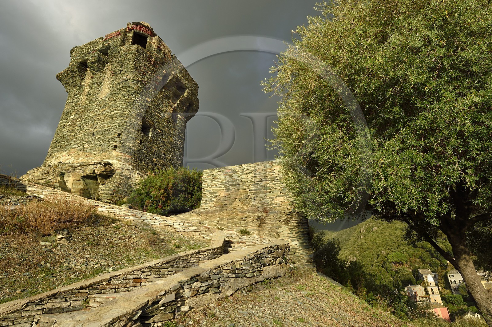 France, Haute Corse, Cap Corse, Nonza, the Paoline Tower (Torra paolina)