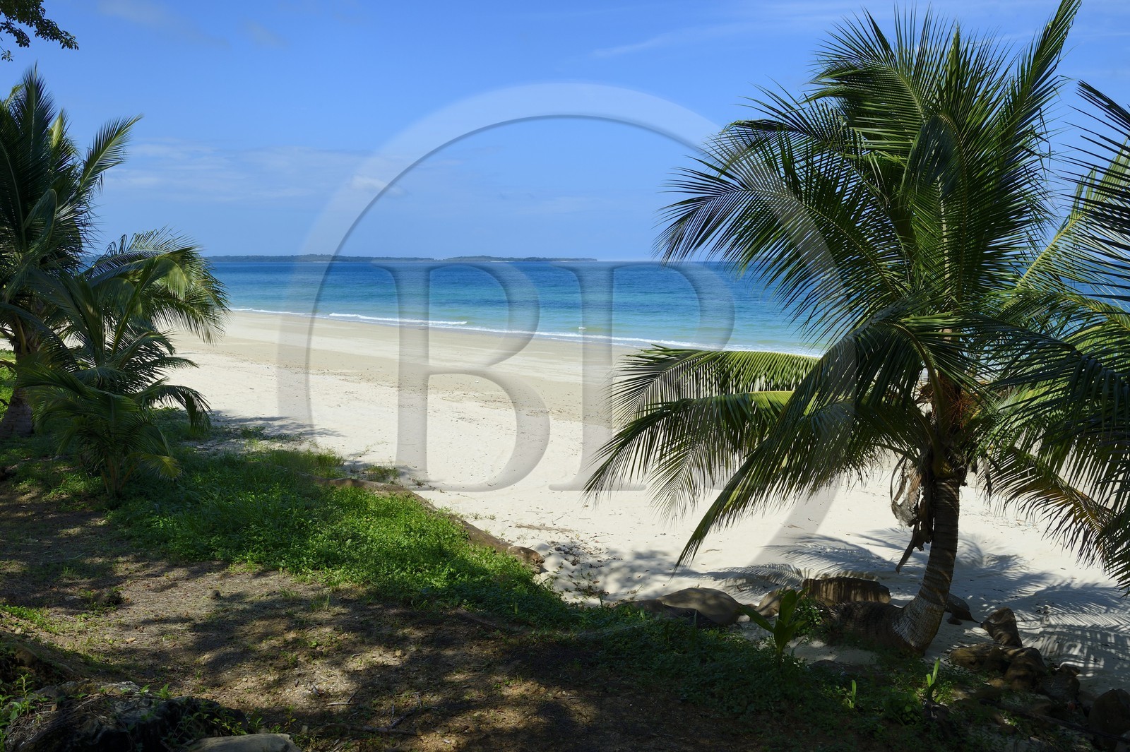 Panama, archipel des Perles, Isla Viveros, plage de sable blanc