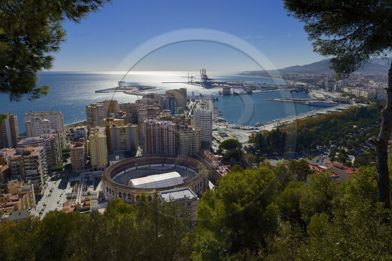 Espagne, Andalousie, Malaga, les arènes (plaza de toros) et le port