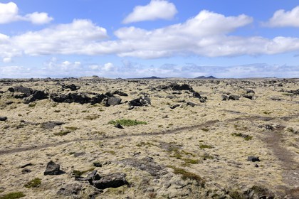 Iceland, Grindavik, trail in an old lava field covered with foam