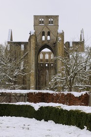 France, Manche, Cotentin, ruin of benedictine de Hambye Abbey