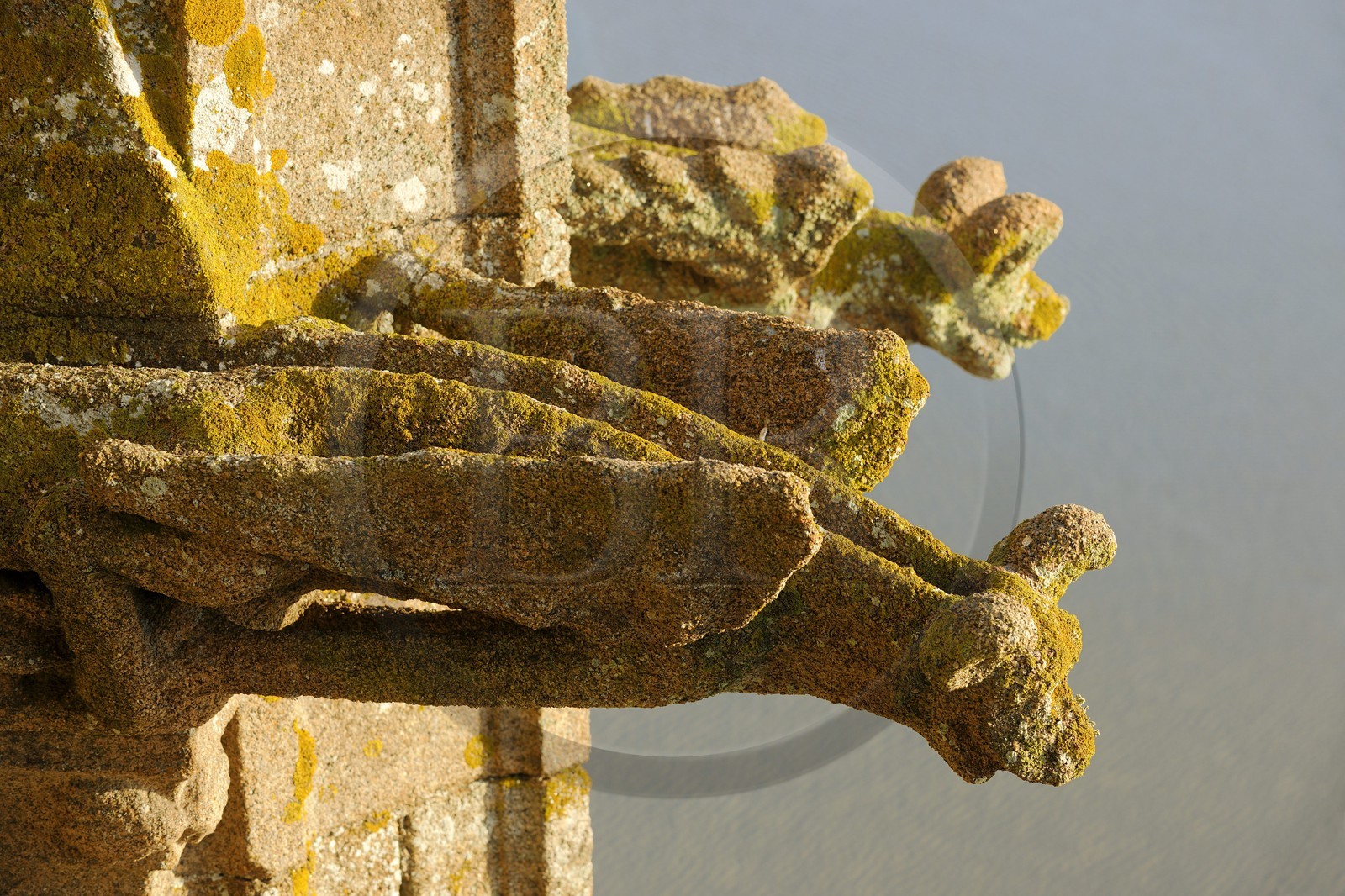 France, Manche (50), l'abbaye du Mont-Saint-Michel, classé Patrimoine Mondial de l'UNESCO, les gargouilles de l'église