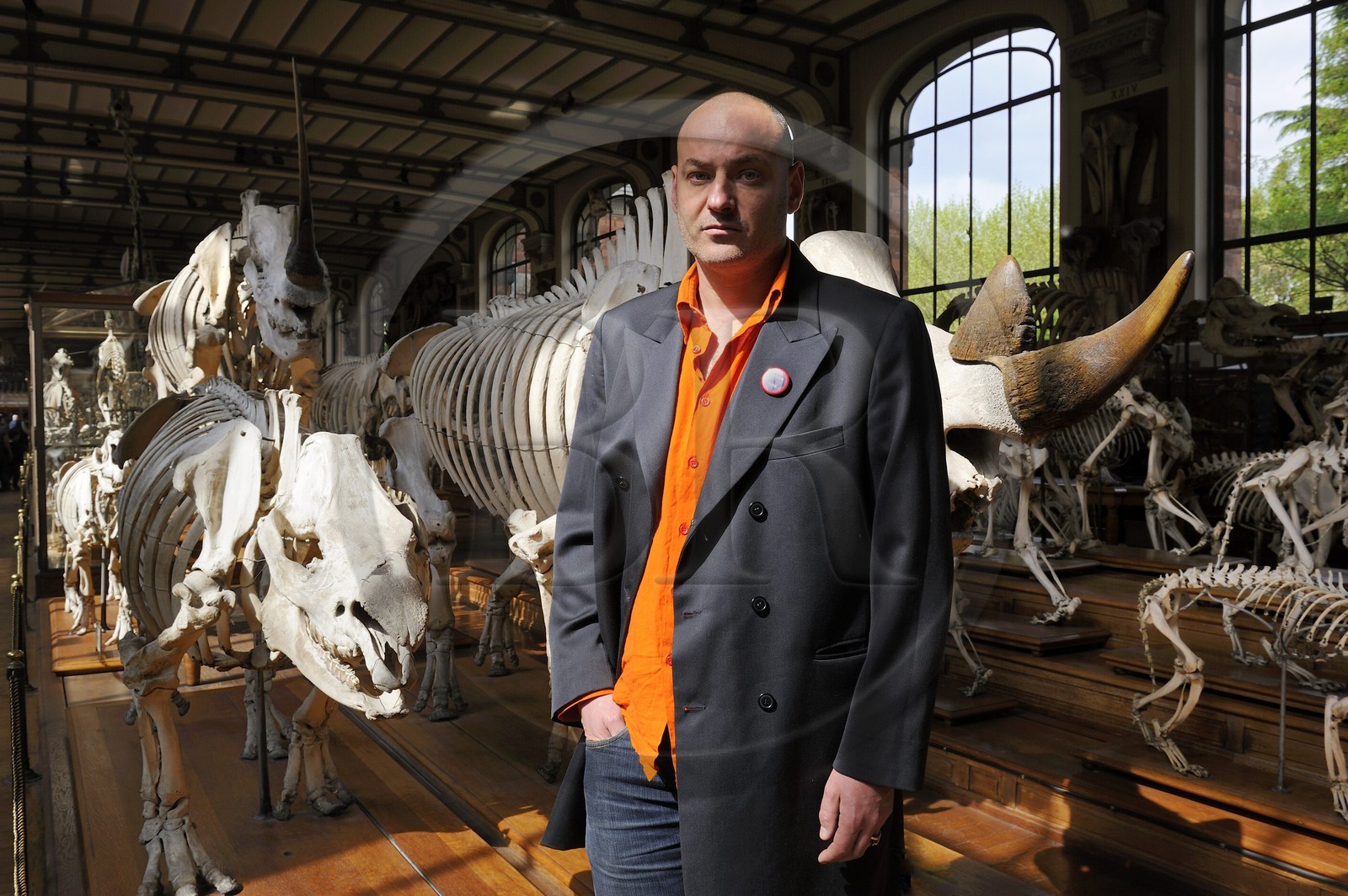 France, Paris, the Jardin des Plantes (Plants Gardens), comparative anatomy and palaeontology Galeries