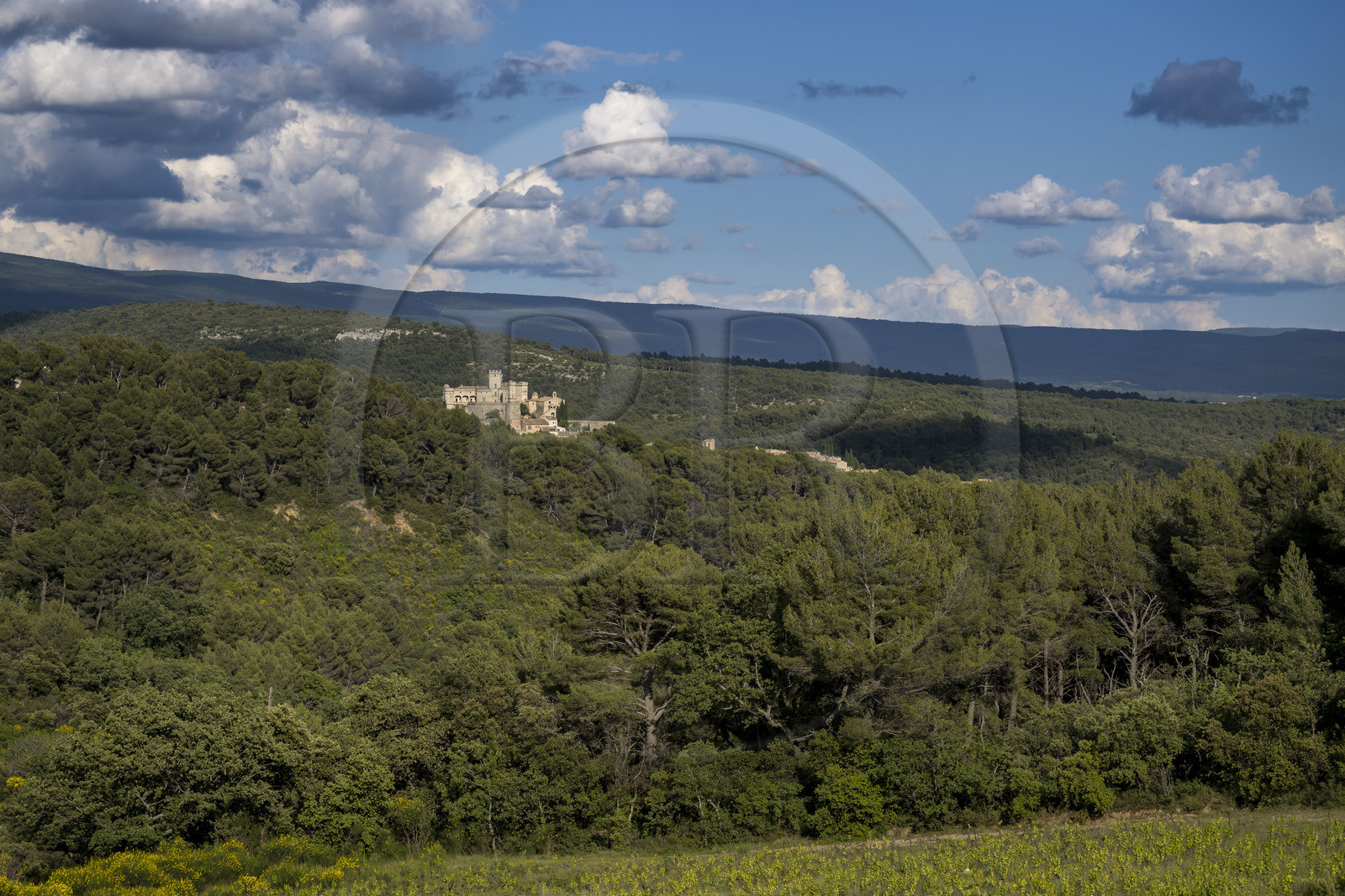 France, Vaucluse (84), Dentelles de Montmirail, Le Barroux, le chateau du Barroux émergeant de la forêt