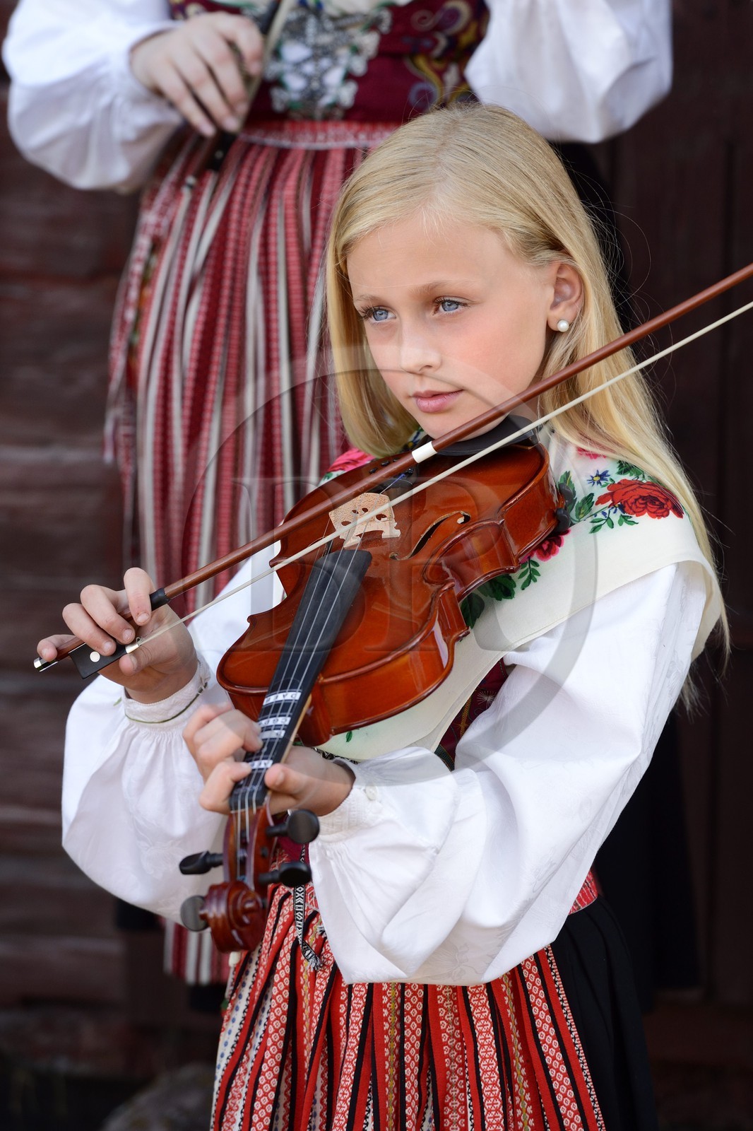 Sweden, Dalarna County, Leksand area, Midsummer celebrations in the tiny hamlet of Hjulbäck, girl in traditional dress playing the violin