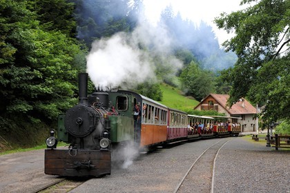 France, Moselle, Abreschviller, small train formerly forest train, Locomotive 02 + 20 T Mallet N°476, built by Maschinenfabrik Heilbronn in 1906 for the network (single specimen)