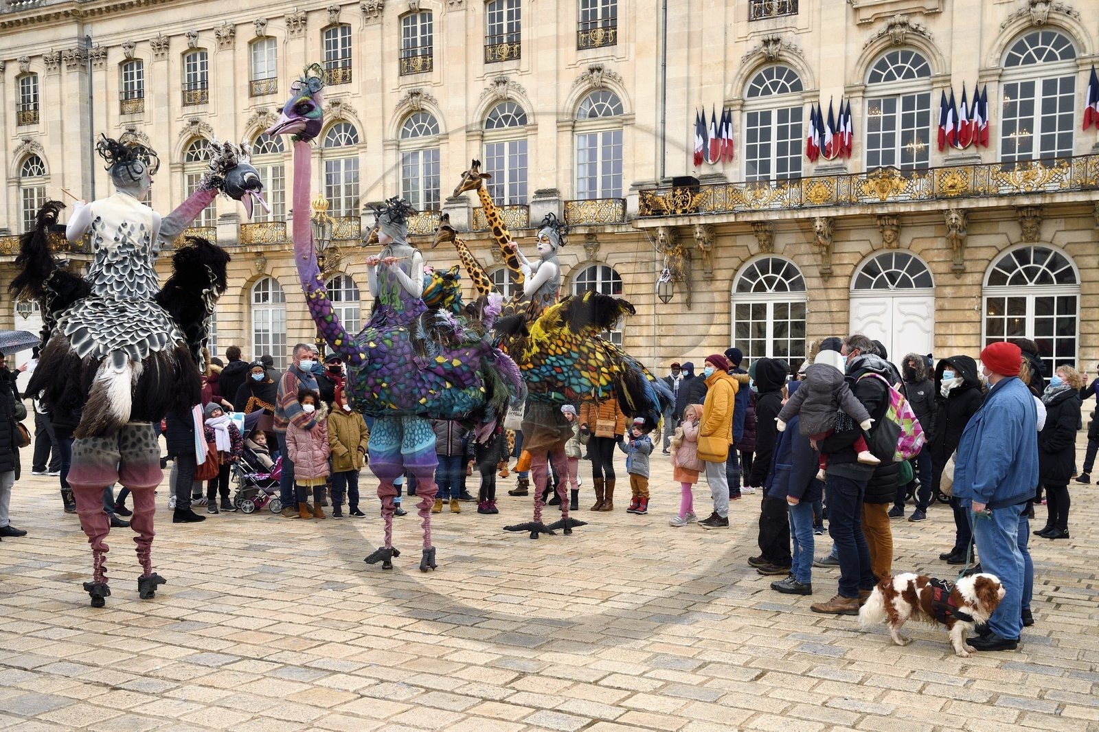 France, Meurthe-et-Moselle, Nancy, place Stanislas (former Place Royale) during the feast of Saint-Nicolas, listed as World Heritage by UNESCO, the Struzzi ostriches of the company Teatro Pavana
