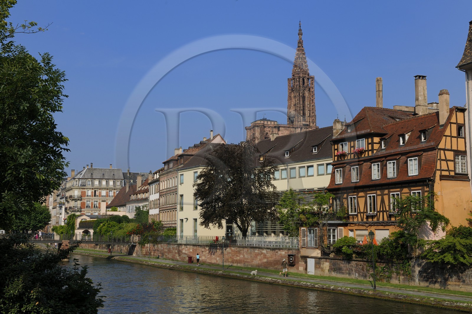 France, Bas-Rhin (67), Strasbourg, les bords de l'ill face au quai des Bateliers et la cathédrale