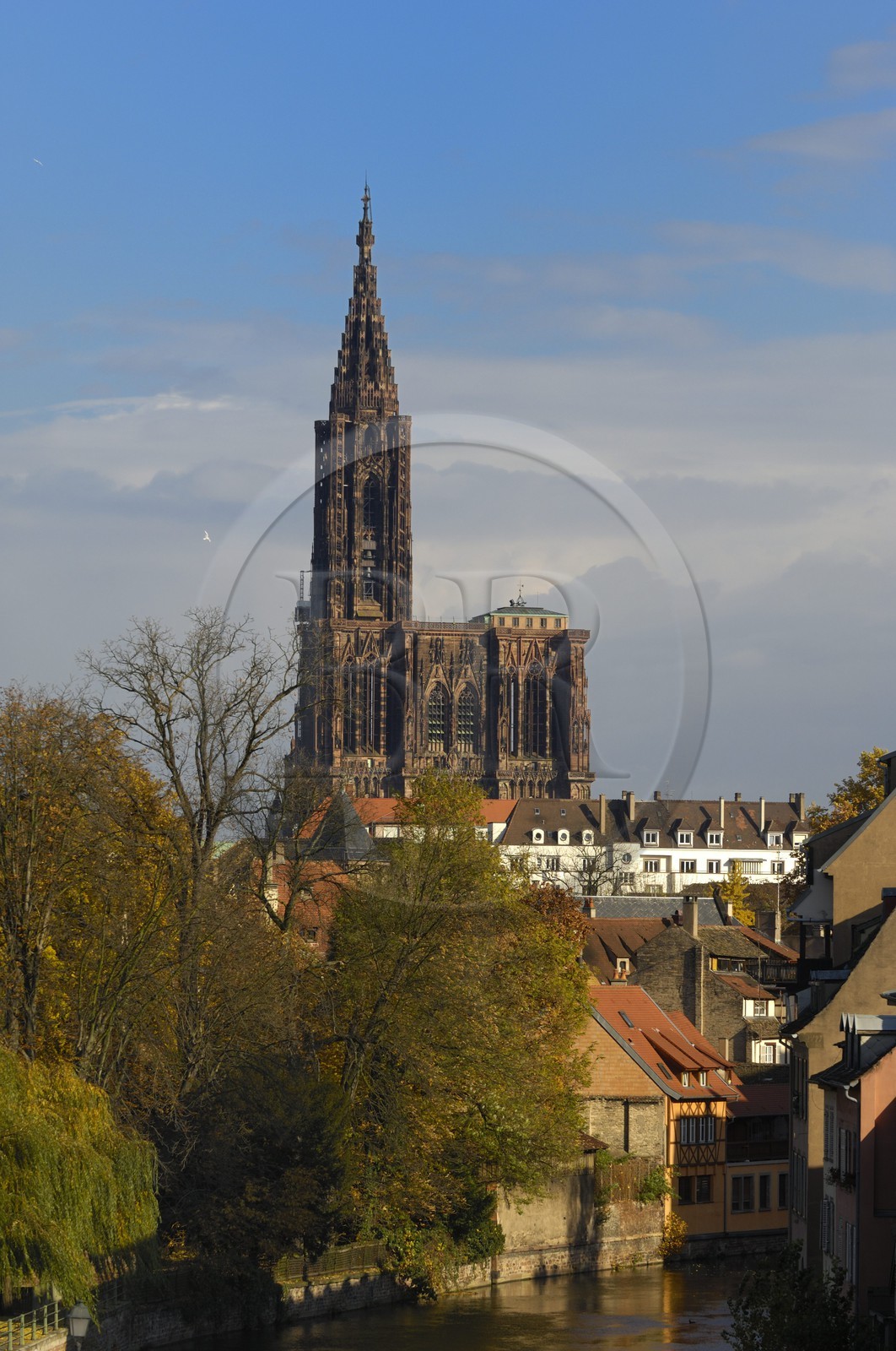 France, Bas Rhin (67), Strasbourg, quartier de la Petite France et la cathédrale Notre-Dame