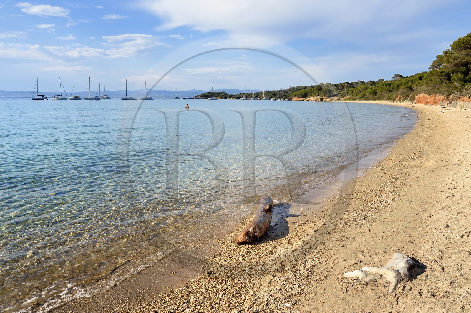 France, Var, Iles d'Hyeres, Parc National de Port Cros (National park of Port Cros), Porquerolles island, La Courtade beach