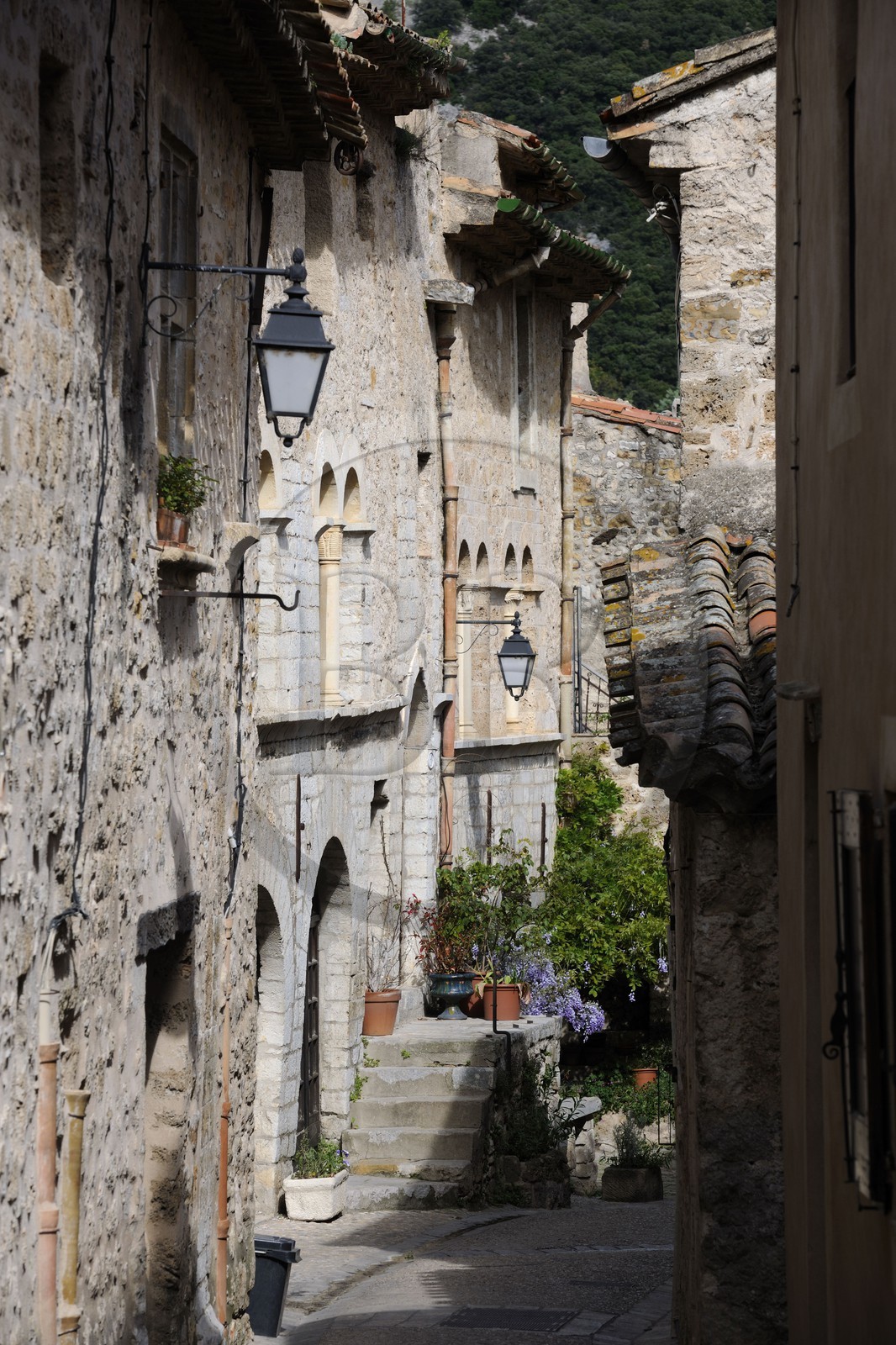 France, Herault, Saint Guilhem le Desert Medieval Village, Labelled Les Plus Beaux Villages de France (the Most Beautiful Villages of France), Rue de la Chapelle des Penitents with the house Lorimi in the back left