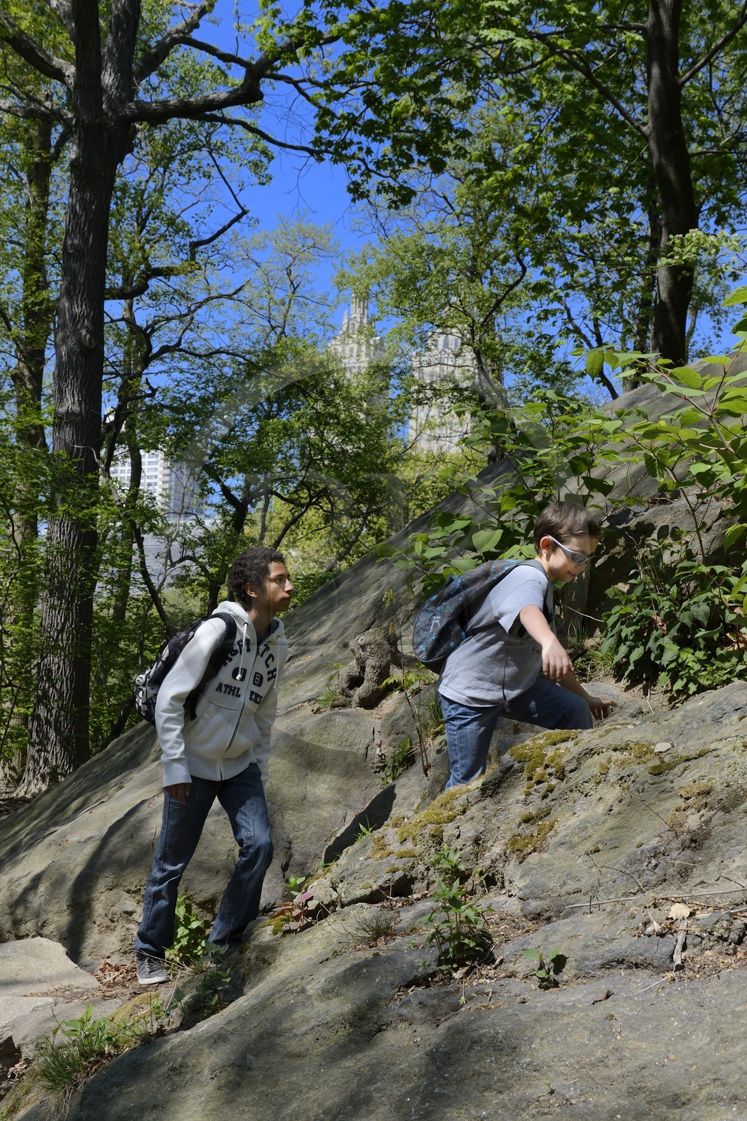 Etats-Unis, New York, Manhattan, Central Park, les immeubles de l'Upper West Side en arrière plan