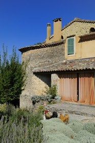 France, Var (83), Provence Verte, Bras, vers Saint-Maximin-la-Sainte-Baume, la maison d'hôtes Le Peyrourier, une campagne en Provence
