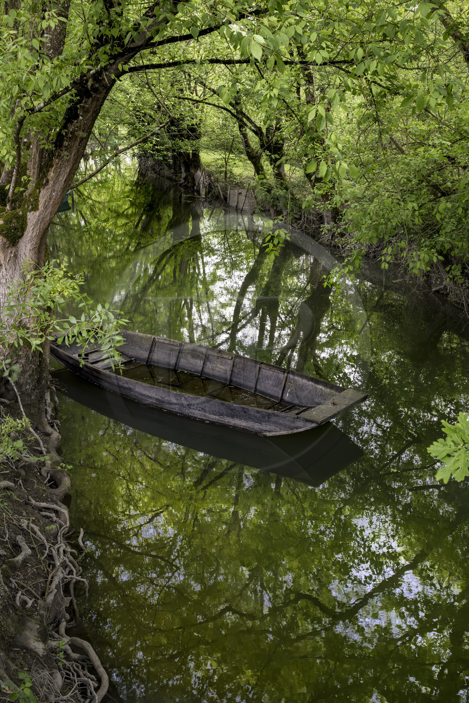 France, Vendée (85), Bouillé-Courdault, barque dans les marais sous les feuillages