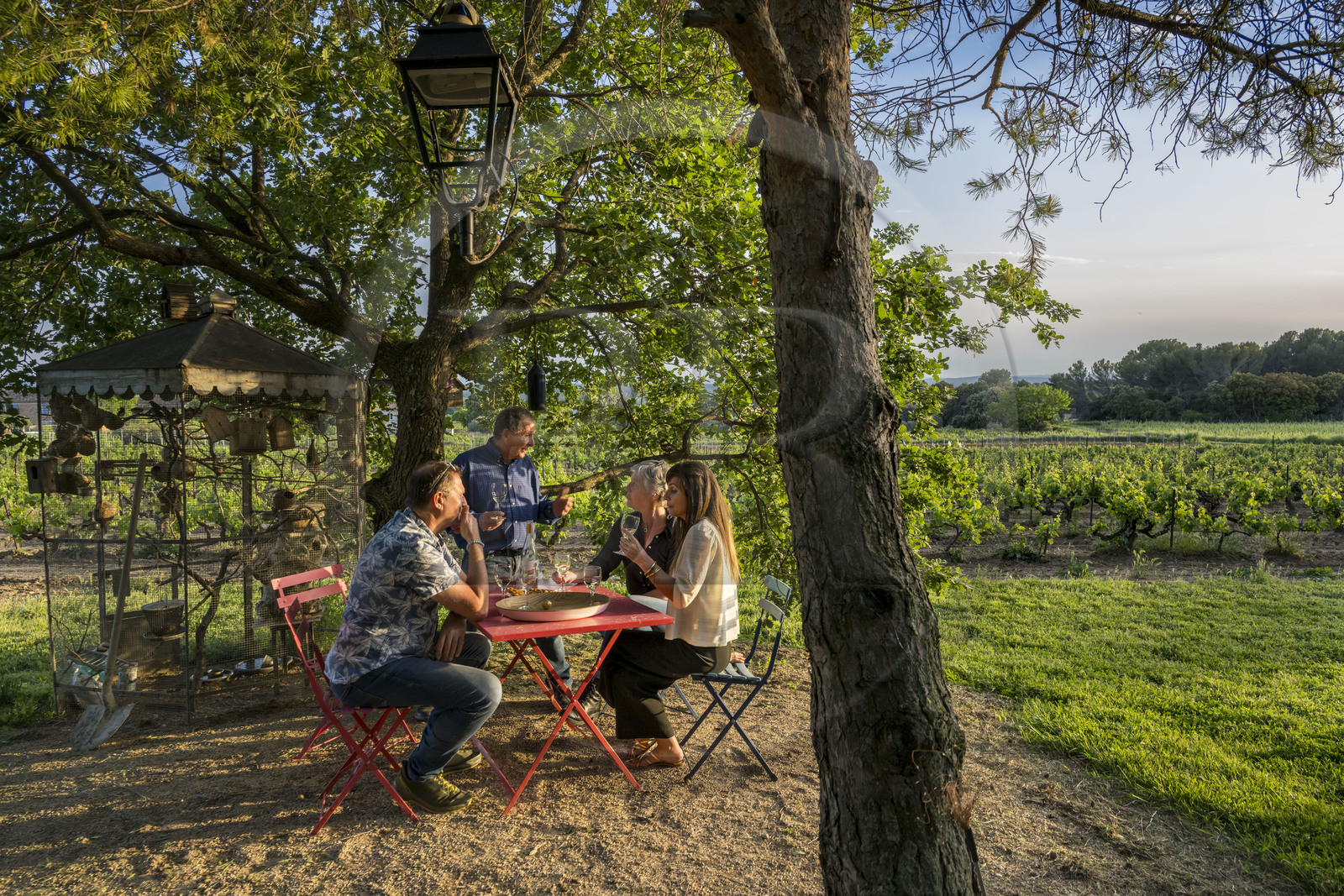France, Vaucluse, Dentelles de Montmirail mountains, Beaumes de Venise, Mas de l’Evajade, the winegrower’s guesthouse of Corinne and Pascal Bernard