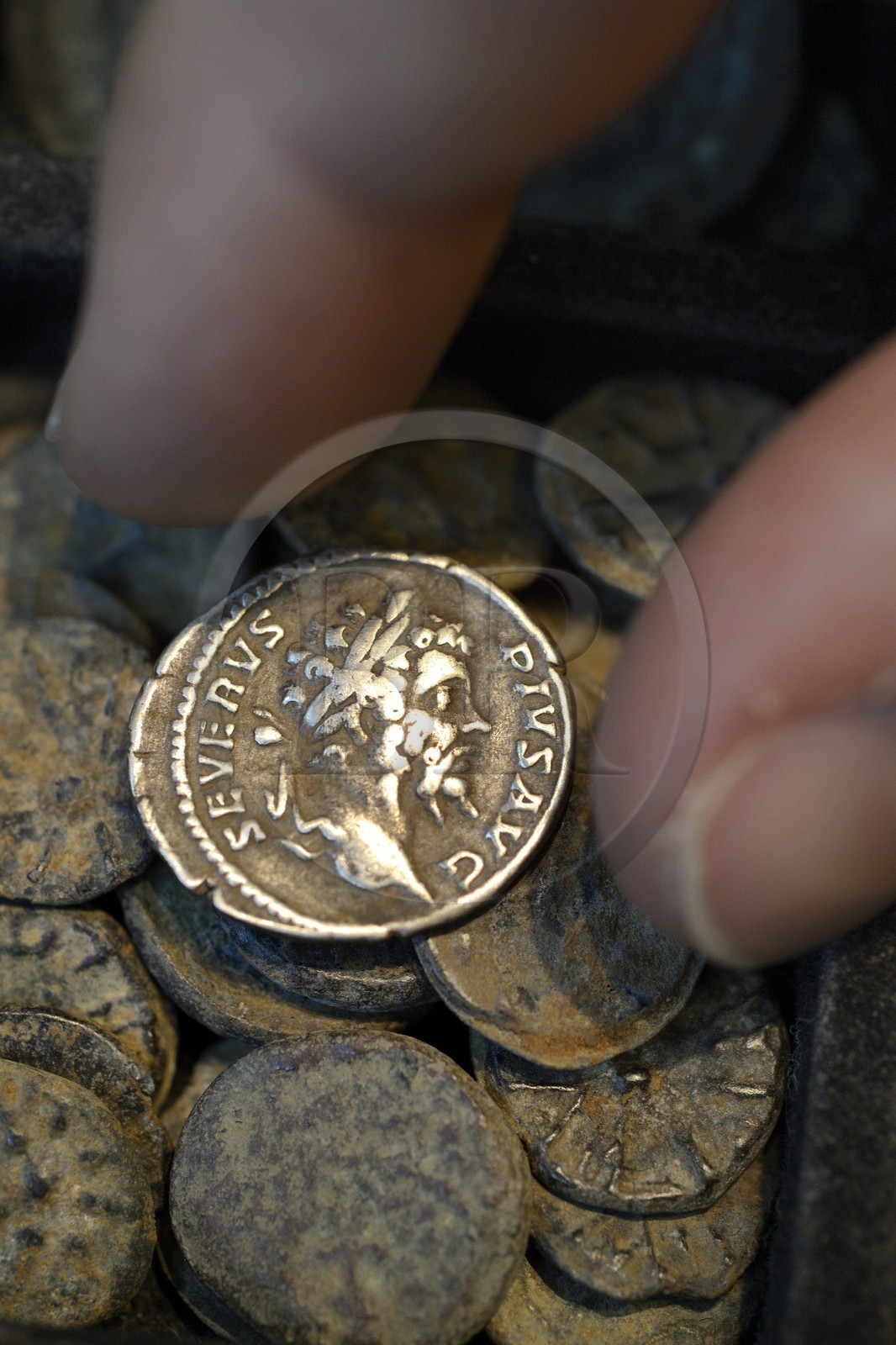 Israel, Jérusalem, ville sainte, vieille-ville classée Patrimoine Mondial de l'UNESCO, denier, pièce de monnaie de l'époque romaine frappée au nom de l'empereur Lucius Septimius Severus (193-211)