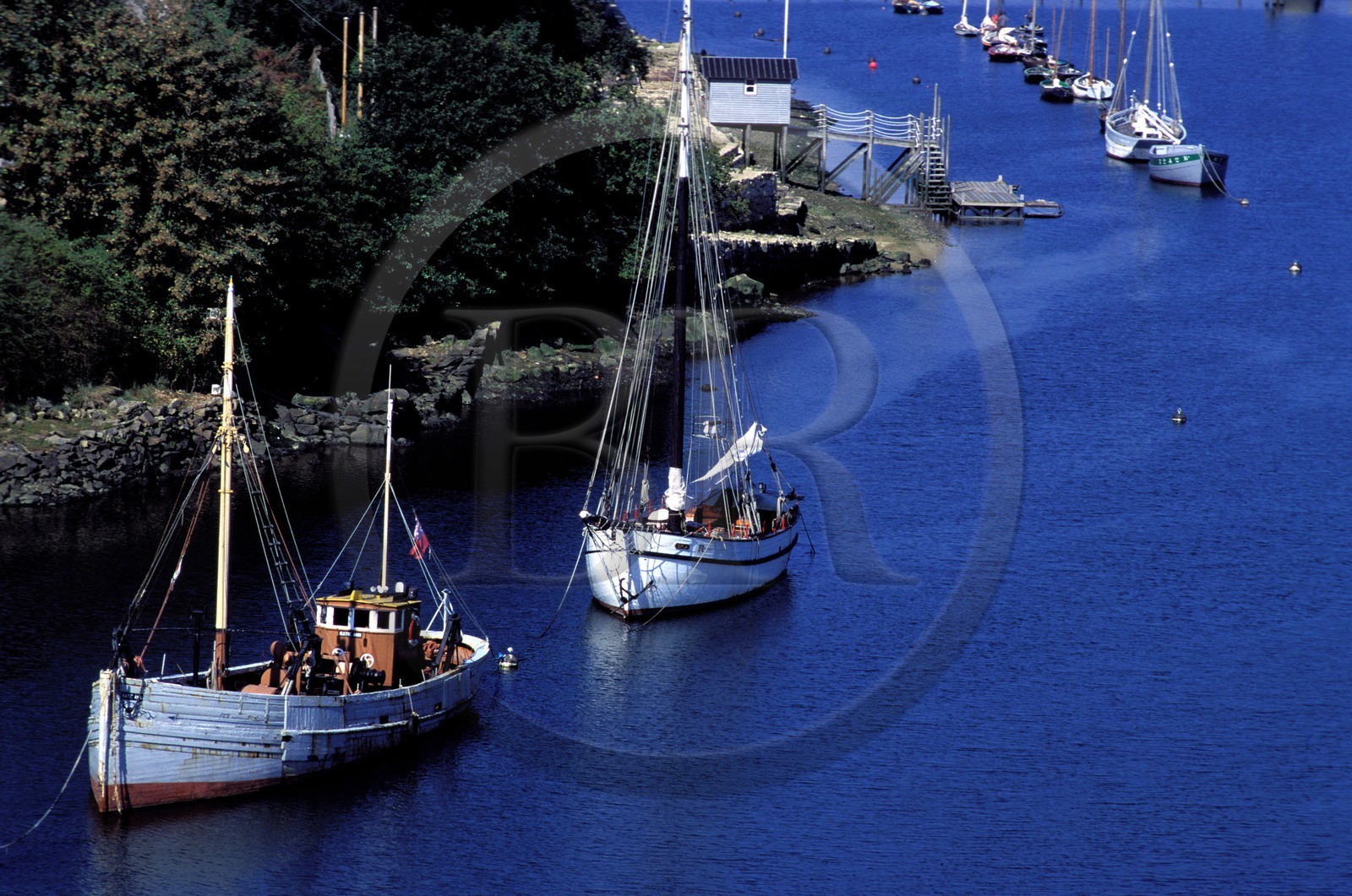 France, Finistère (29), Douarnenez, bateaux ancrés dans le port