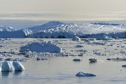 Groenland, cote ouest, baie de Disko, Ilulissat, hors-bord traversant le site du fjord glacé classé Patrimoine Mondial de l'UNESCO