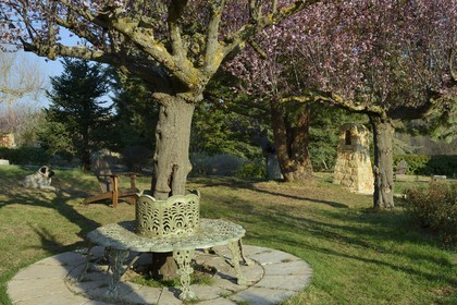 France, Var, Provence Verte (Green Provence), Bras village next to Saint Maximin, Le Peyrourier Bed & Breakfast, une campagne en Provence