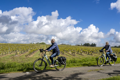 France, Vendée (85), Talmont-Saint-Hilaire, cyclistes sur la piste de la véloroute Vendée Vélo Tour et Vélodyssée passant devant vignoble des vins d'appellation Vin de Pays du Val de Loire Vendée en bordure des anciens marais salants de la Guittière