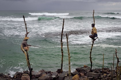 Sri Lanka, Southern Province, Galle district, Weligama, Midigama beach, Pole Fishermen or Stilt Fishermen ply their trade along the Galle coastline
