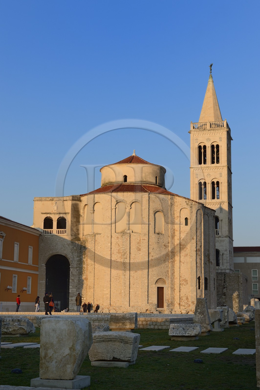 Croatie, Dalmatie, côte dalmate, Zadar, le forum romain, l'église Saint Donat et le campanile de la cathédrale