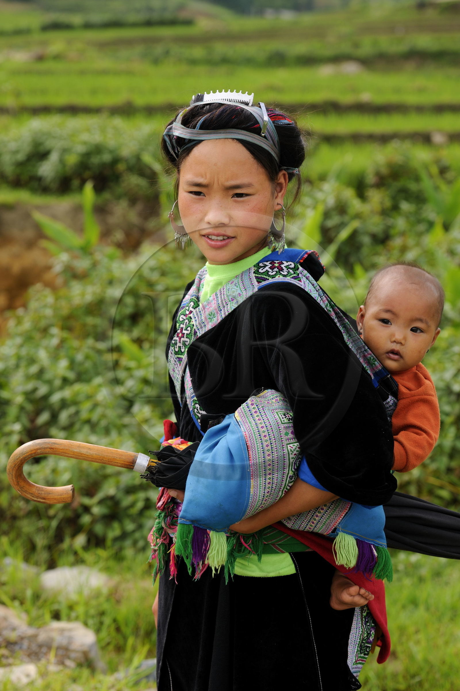 Vietnam, Lao Cai province, North-West Sapa district, the Blue Hmong minority group