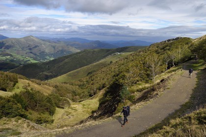 France, Pyrénées-Atlantiques (64), Pays-Basque, chemin de Saint-Jacques de Compostelle sur le GR 65 entre Saint-Jean-Pied-de-Port et Roncevaux, pèlerins sur les pentes du Leizar Atheka et la vallée de Luzaide en Navarre en arrière plan