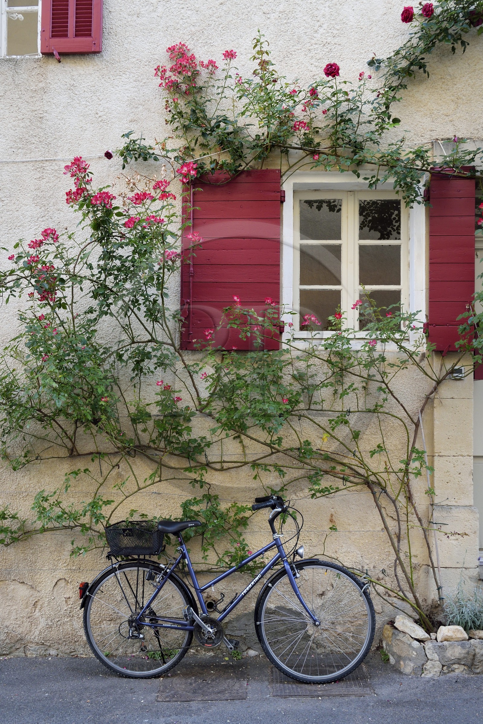 France, Vaucluse (84), Parc Naturel Regional du Luberon, Lourmarin, labellisé Les Plus Beaux Villages de France, bicyclette contre un mur