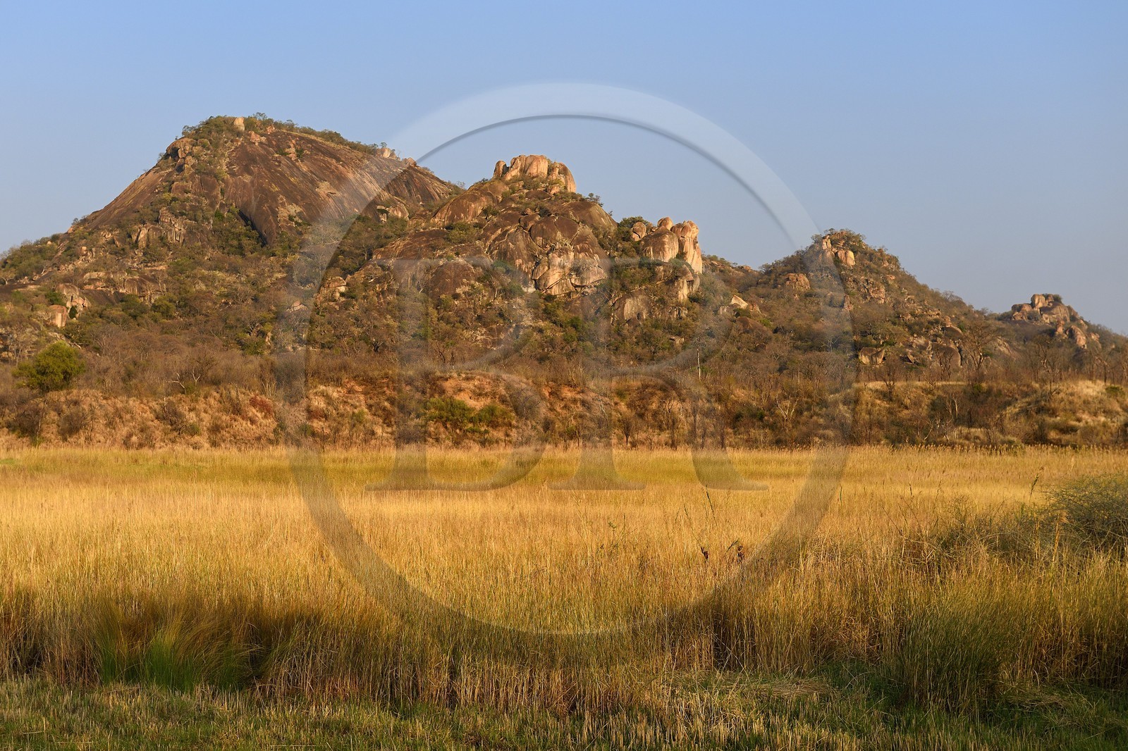 Zimbabwe, province de Matabeleland méridional, Matobo ou Matopos Hills National Park, classé Patrimoine Mondial de l'UNESCO, les collines rocheuses