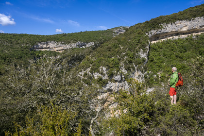 France, Vaucluse (84), Parc naturel régional du Mont Ventoux, Monieux, Gorges de La Nesque, randonneurs sur les hauteurs face au barres rocheuses