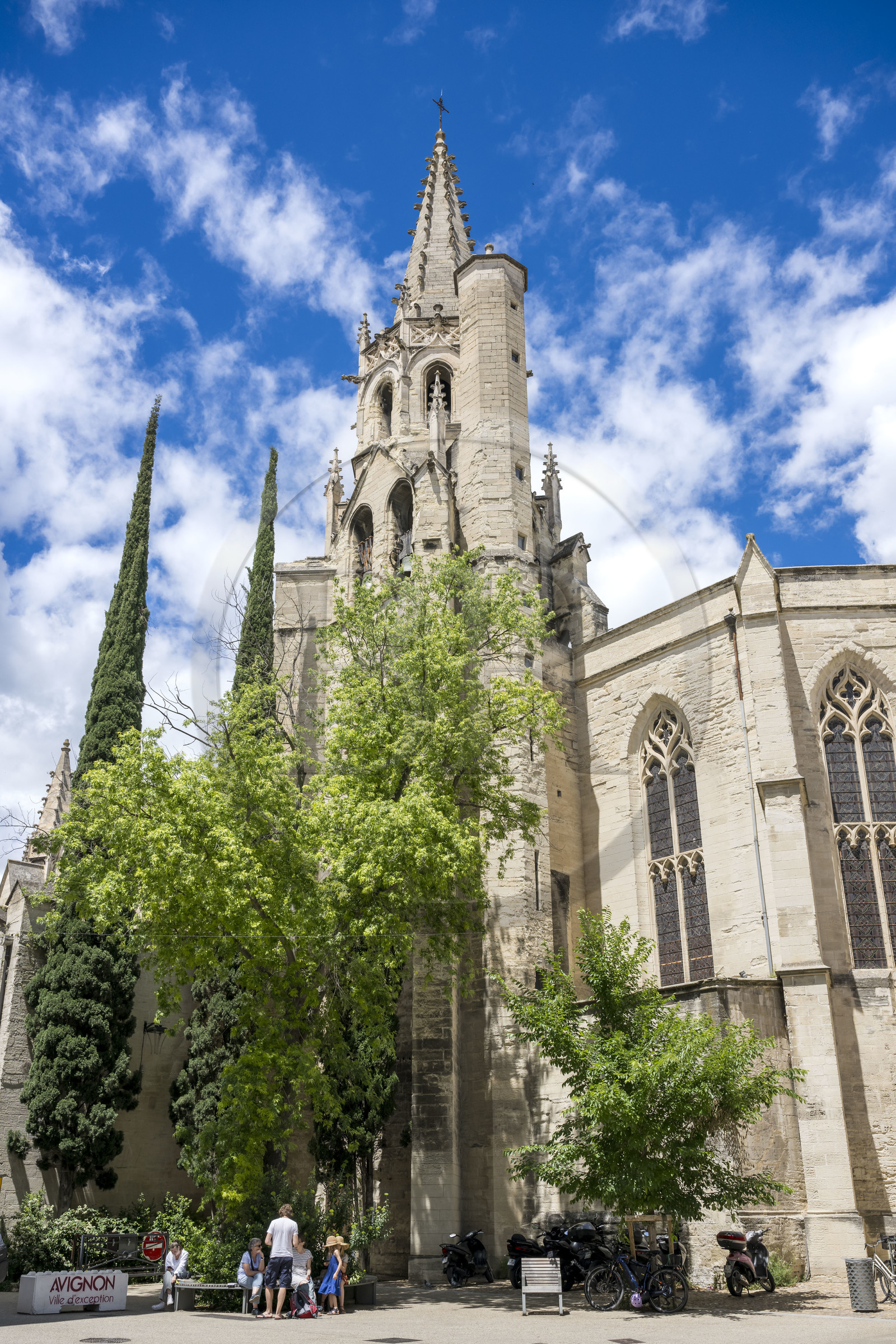 France, Vaucluse, Avignon, Saint Pierre (St. Peter's) Basilica (15th and 16th centuries)