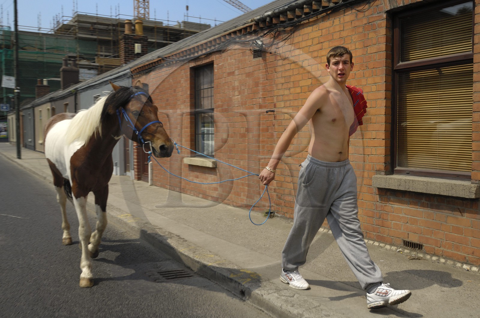 Republic of Ireland, County Dublin, Dublin, man in a street of the suburbs with his horse