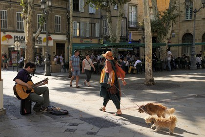 France, Bouches-du-Rhône (13), Aix-en-Provence, promenade des chiens et musicien de rue sur la place de l'Hôtel de ville