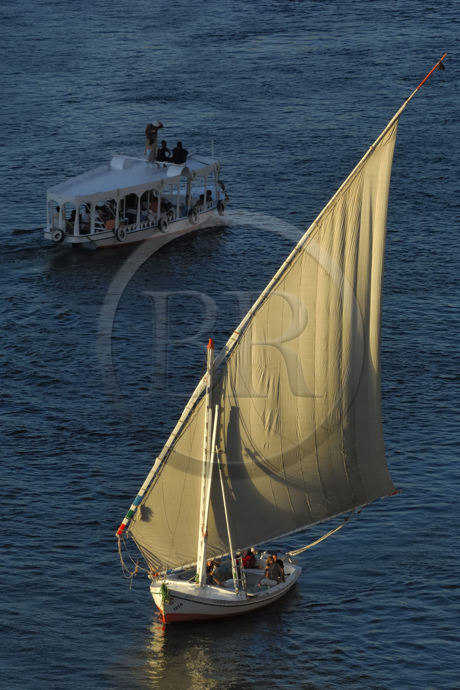 Egypte, Haute Egypte, vallée du Nil, Assouan, felouque sur le Nil