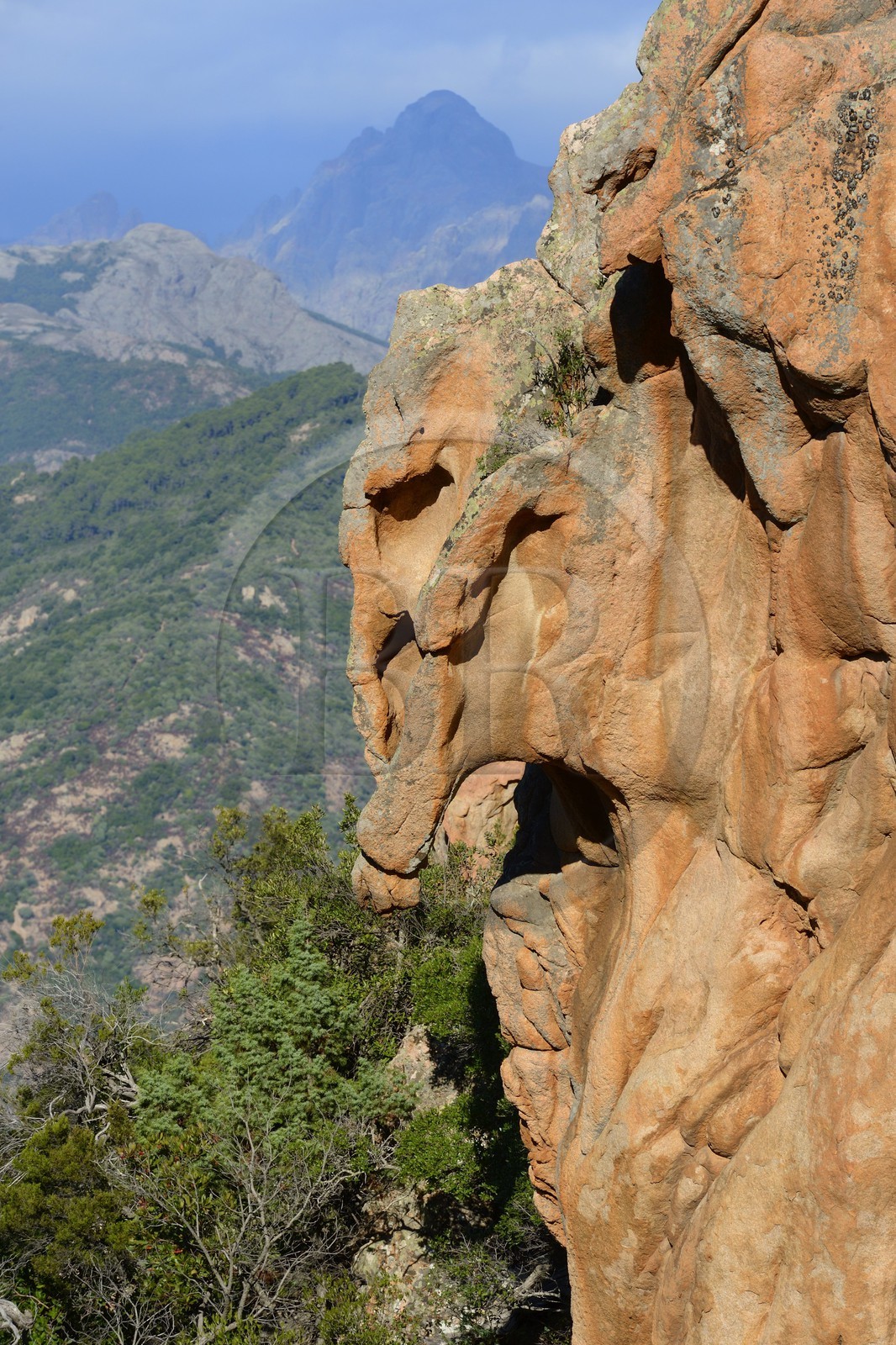 France, Corse-du-Sud (2A), Golfe de Porto, classé Patrimoine Mondial de l'UNESCO, calanches de Piana, rochers de granit rose aux formes fantasmagoriques sur le chemin dit du Chateau-Fort