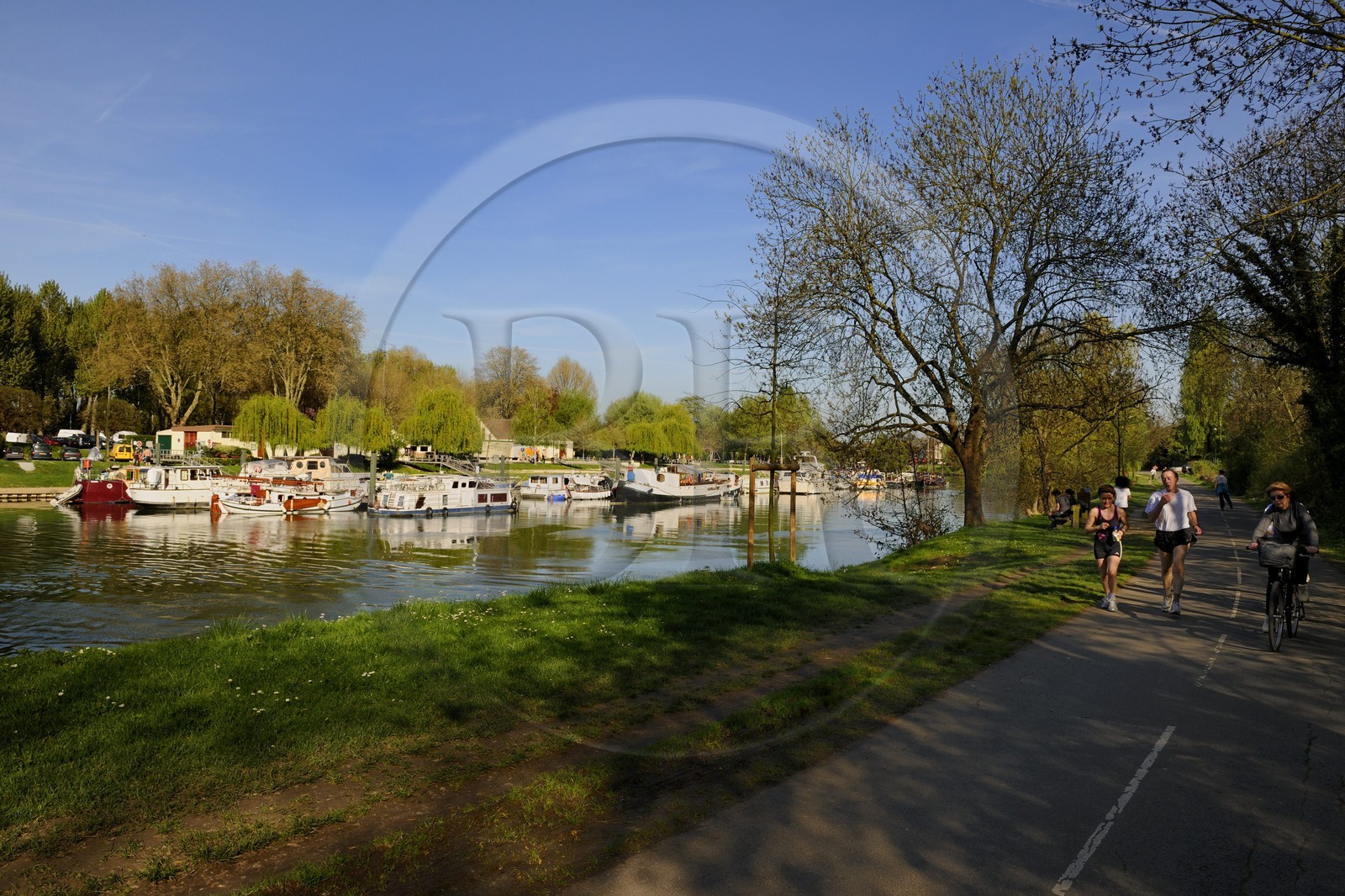 France, Val de Marne, the Marne riverside, Noisy-Le-Grand, joggers and cyclists on the cycle lane