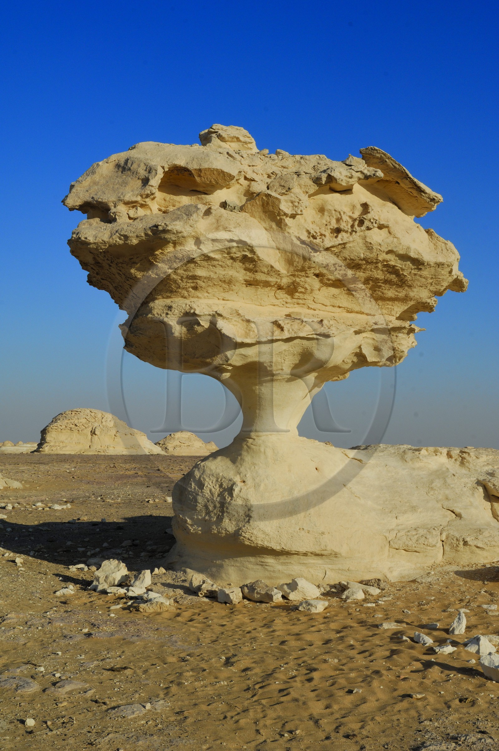 Egypte, désert libyque, le Désert Blanc au nord de Farafra