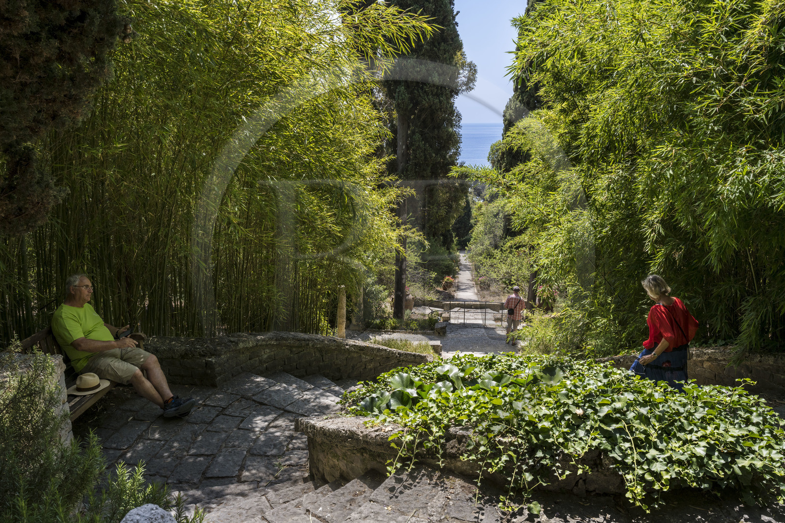 Italie, Ligurie, Province d'Imperia, Vintimille, Jardin botanique Hanbury, allée descendant vers la mer