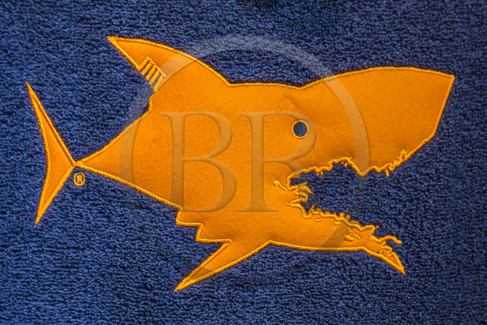 France, Côtes-d'Armor (22), Tréguier, dessin iconique du requin de la marque de création Je dévore ma Bretagne dans la geule duquel on retrouve la carte de la Bretagne