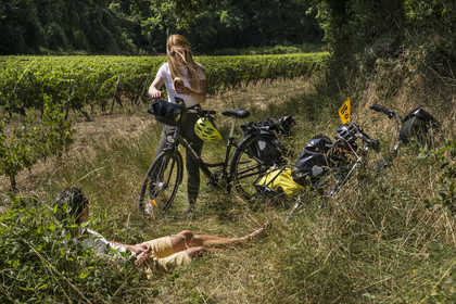 France, Maine-et-Loire, Loire valley listed as World Heritage by UNESCO, Dampierre to the east of Saumur, break in a cycling in the vineyards of the Loire hillsides