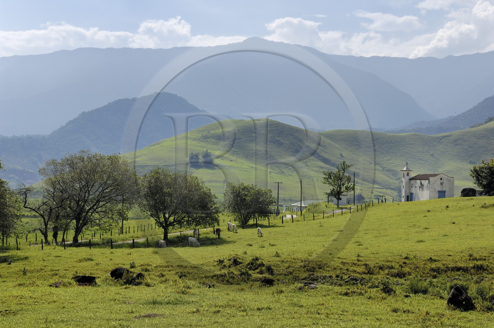 Brésil, Etat de Rio de Janeiro, Parque Nacional de Serra da Bocaina en bordure de la baie de Paraty (Route de l'or, Estrada Real)