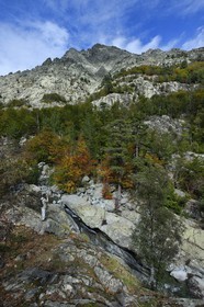 France, Haute Corse, Vivario, hiking on the GR 20, between Onda refuge and Vizzavona, Vizzavona forest, Englishmen cascades, waterfalls group in the Agnone valley under the Monte d'Oro