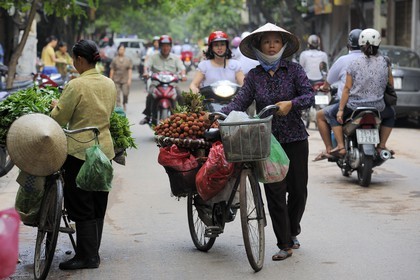 Vietnam, Hanoï,  old city, fruit and vegetable sellers on bicycle